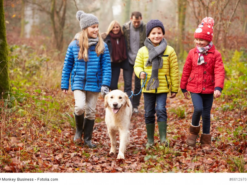 Du musst dir keine Gedanken machen, wenn deine Kinder mit deinem Golden Retriever spazieren gehen.