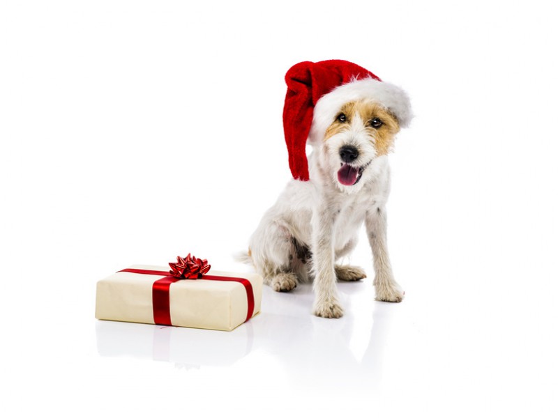 Bald ist Weihnachten. Geschenkezeit!
