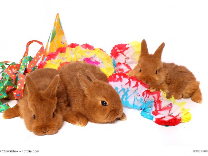Drei kleine Kaninchen mit Partyschmuck