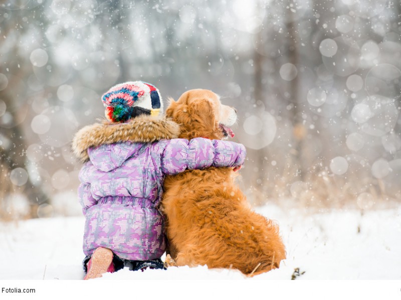 Golden Retriever sind sehr kinderliebe Hunde mit einem sehr geduldigen Wesen.