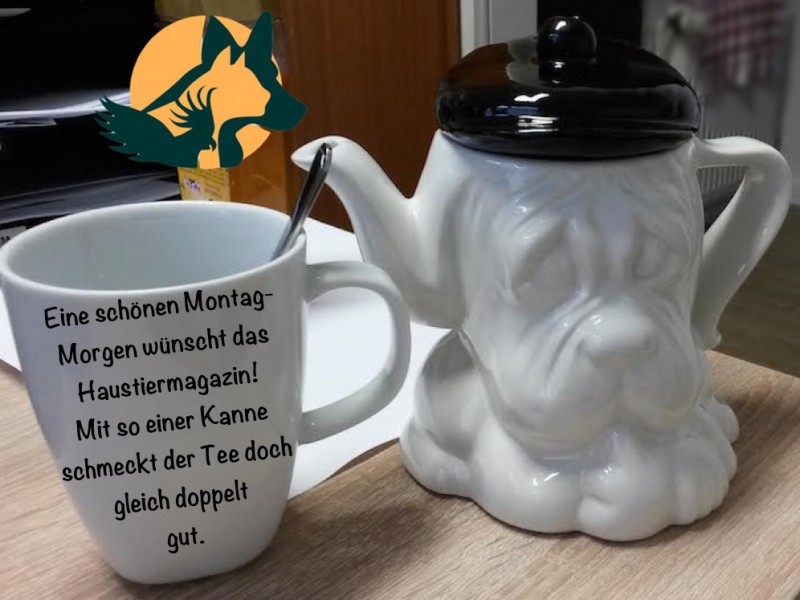 teekanne-hund
